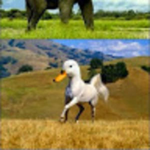 Meet your Posher, Austin